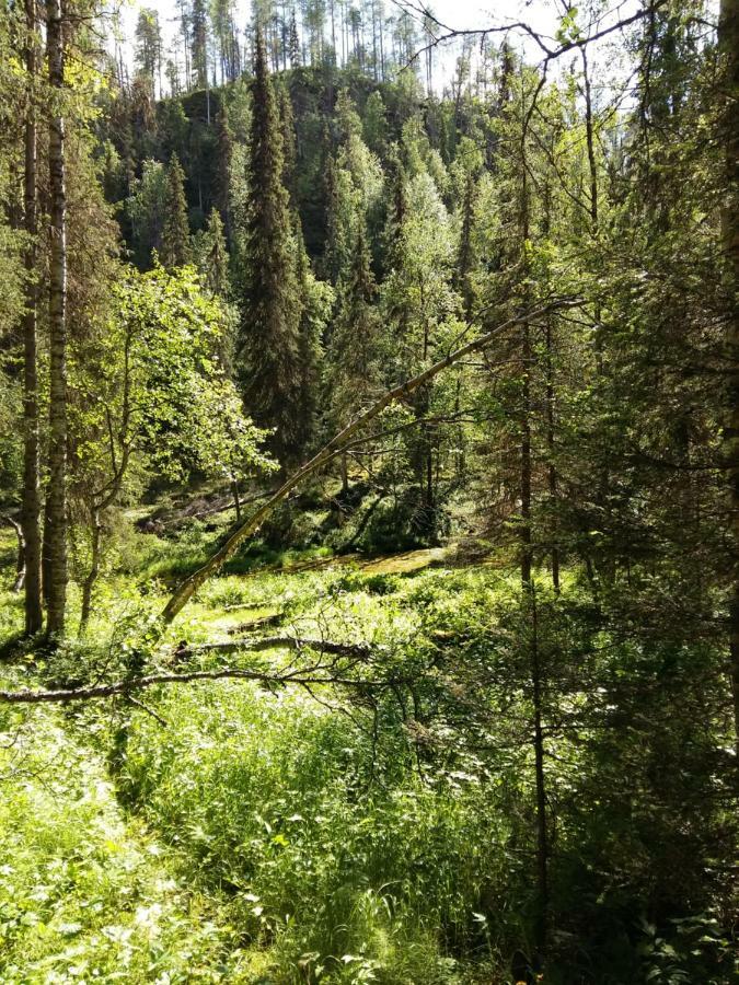 Salmikankaankelo C4 Ruka Exteriér fotografie